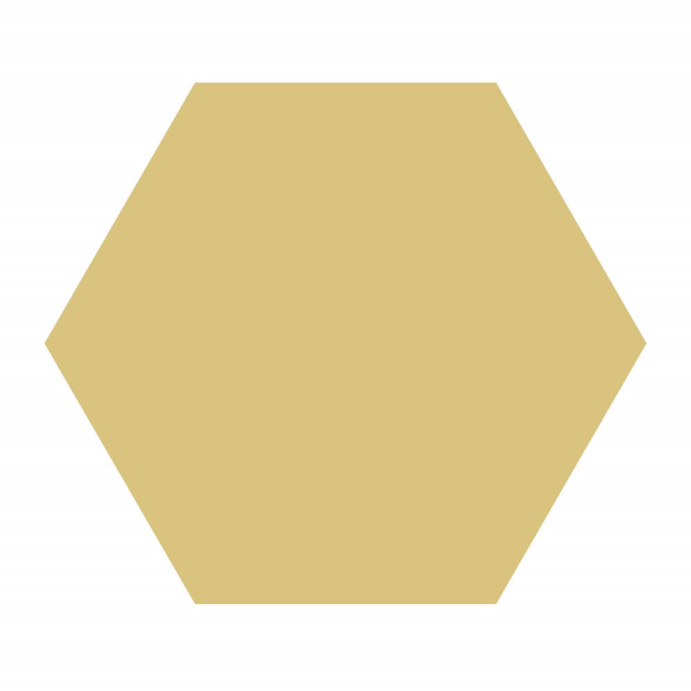 HEXAGON-1